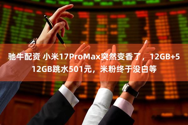 驰牛配资 小米17ProMax突然变香了，12GB+512GB跳水501元，米粉终于没白等