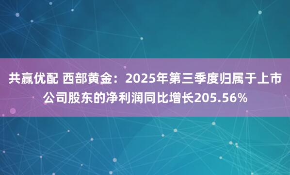 共赢优配 西部黄金：2025年第三季度归属于上市公司股东的净利润同比增长205.56%