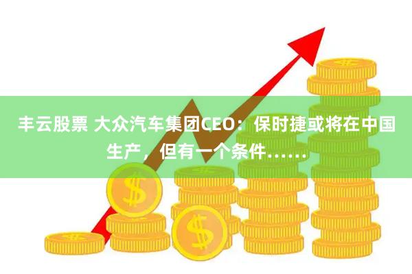 丰云股票 大众汽车集团CEO:保时捷或将在中国生产,但有一个条件……
