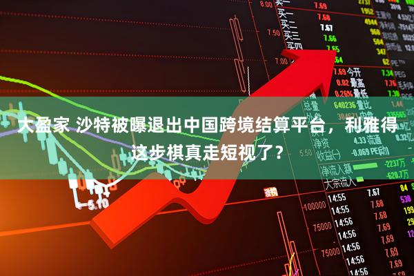 大盈家 沙特被曝退出中国跨境结算平台，利雅得这步棋真走短视了？